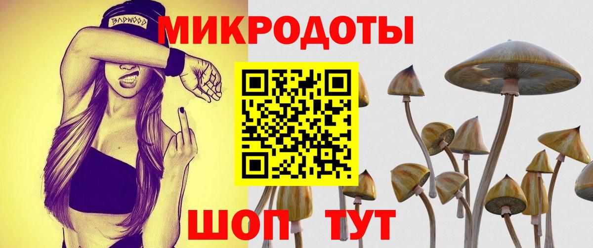 Галлюциногенные грибы мицелий  Псилоцибиновые грибы прущие грибы  Вход с VPN  Кохма 
